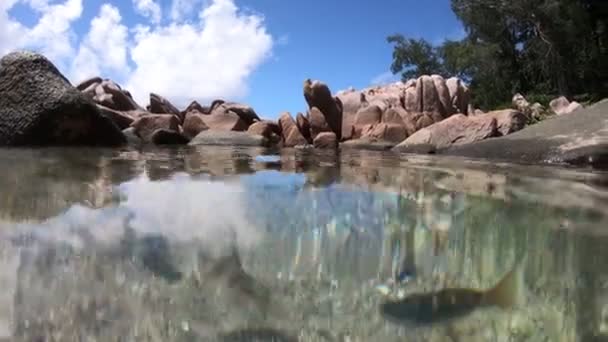 Vista dividida al mar de las piscinas naturales de Seychelles — Vídeo de stock