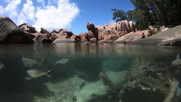 Сплит вид на море природного бассейна Кайман — стоковое видео