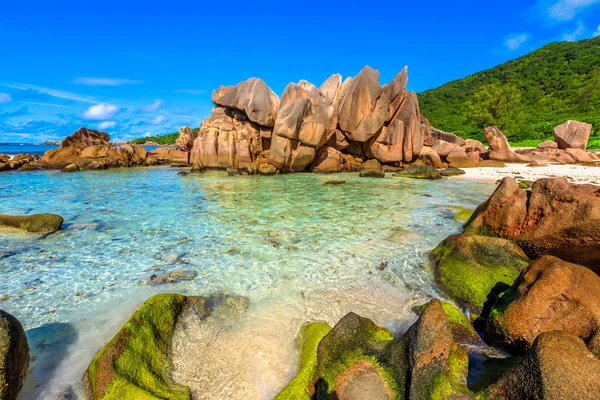 Piscine La Digue — Photo