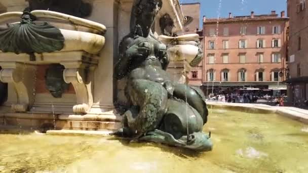 Nixen und Neptun-Statuen aus Bologna — Stockvideo