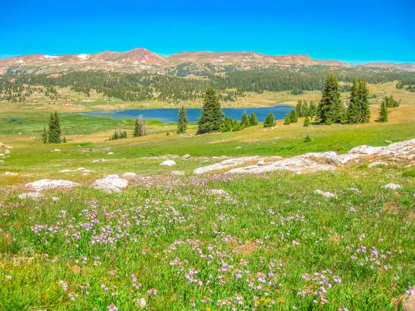 Beartooth Highway Verenigde Staten — Stockfoto