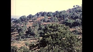 Güney Afrika'nın Shakaland köyü