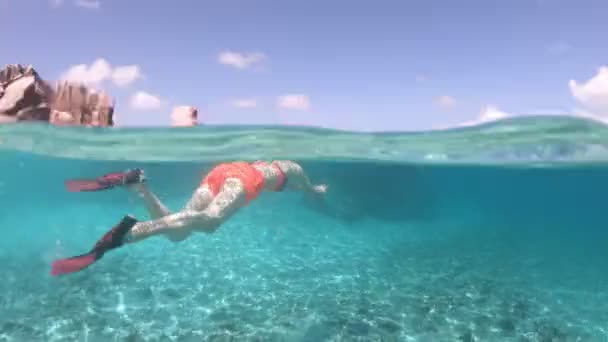Šnorchlování, rozdělený pohled na Seychely — Stock video