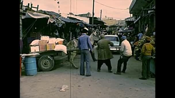 Donkey chariot of market of Gaza — Stock Video
