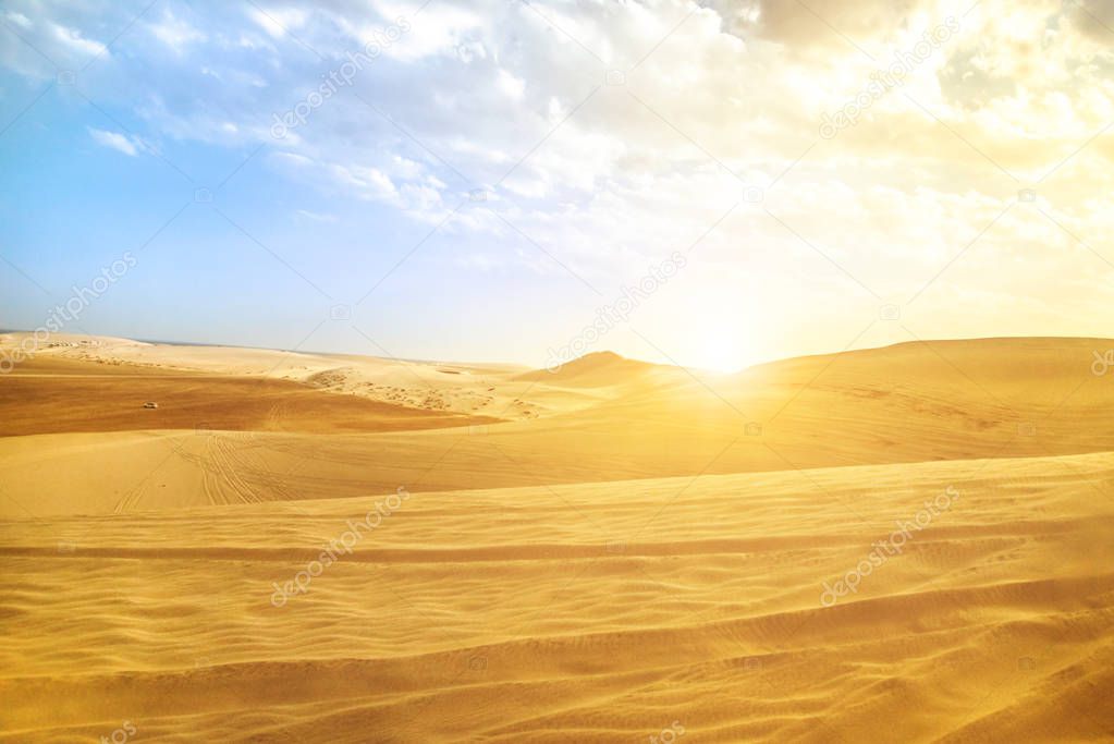 Desert landscape Qatar