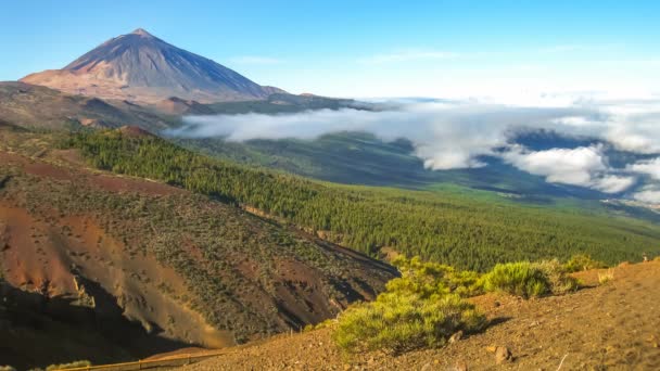 Teide volkan Sinemagraf — Stok video