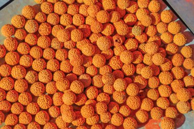 Quandong tohumları kurutulmuş