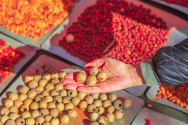 Australia bush food