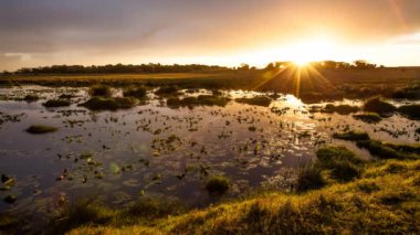 Isimangaliso Sulak Arazi Parkı