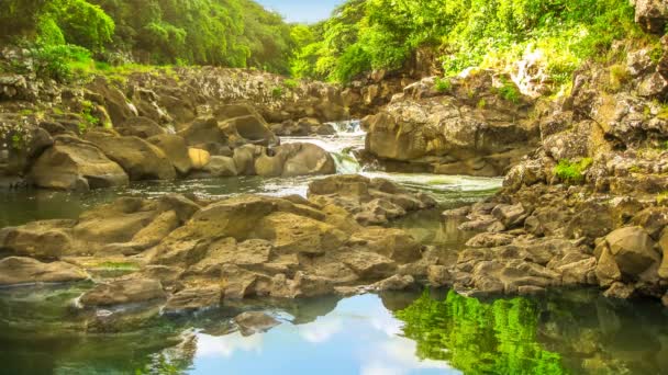 Mauritius 'ta Kara Nehir Vadisi — Stok video