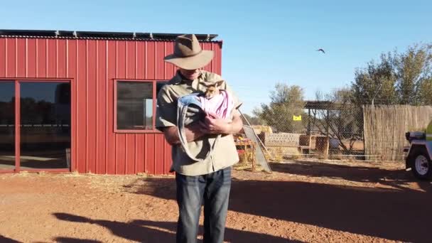 Canguro Santuario Alice Springs — Vídeo de stock