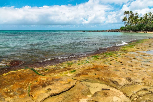 Laniakea Beach természetvédelmi terület — Stock Fotó