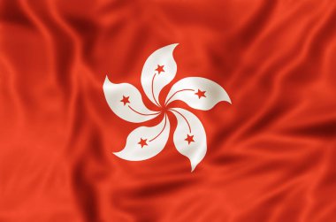 Hong Kong bayrağı