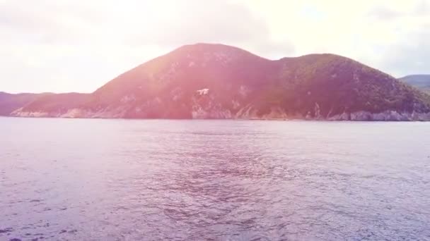 Vliegende meeuw op Elba Island — Stockvideo