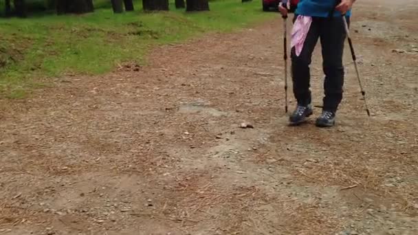 行走在慢动作中的远足男子腿 — 图库视频影像