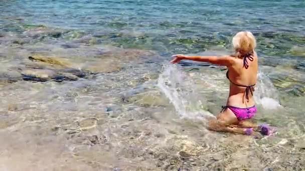 Strand der Insel Elba — Stockvideo