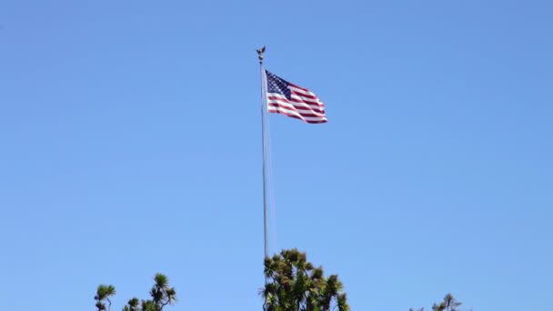 Amerikanischer Friedhof Flagge der Vereinigten Staaten — Stockvideo