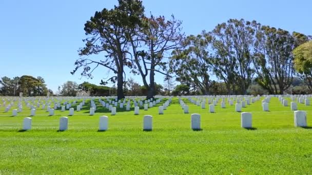 Cimitero americano San Francisco — Video Stock