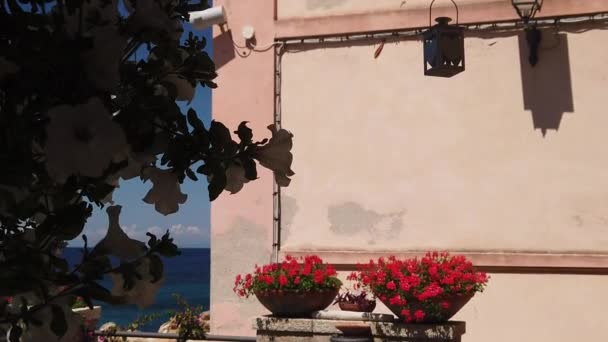 Marciana Marina geraniums och bougainvillea — Stockvideo