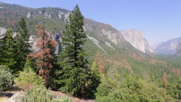 El Capitán en Yosemite NP — Vídeo de stock