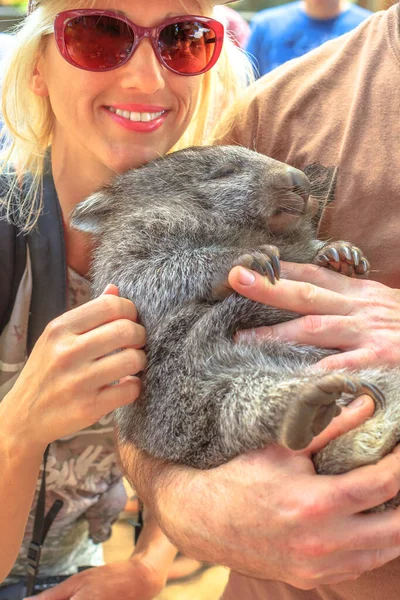 Turista mujer con Wombat —  Fotos de Stock