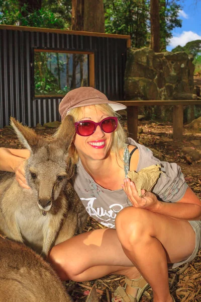 Vrouw die kangoeroe voert — Stockfoto