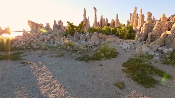 Mono Lago magenta amanecer — Vídeo de stock