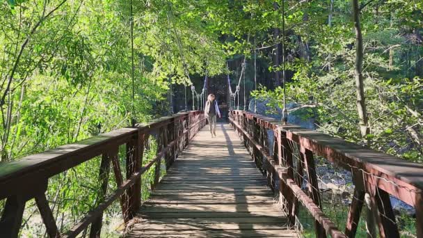 Wandern am Kings Canyon Zumwalt-Steg — Stockvideo