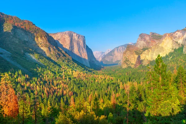 El Capitan a Yosemite NP — Foto Stock