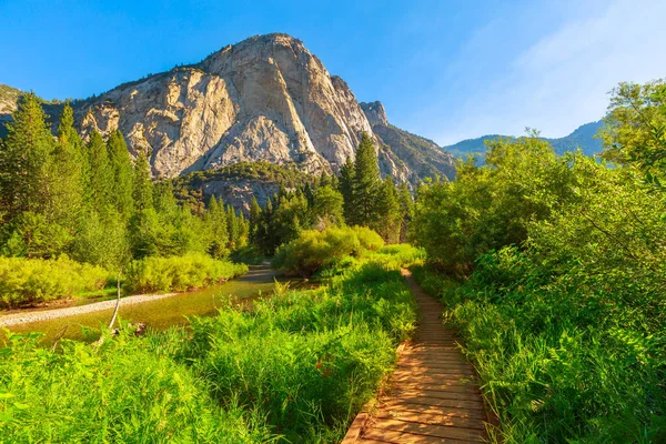 Reis Canyon Zumwalt Meadows — Fotografia de Stock