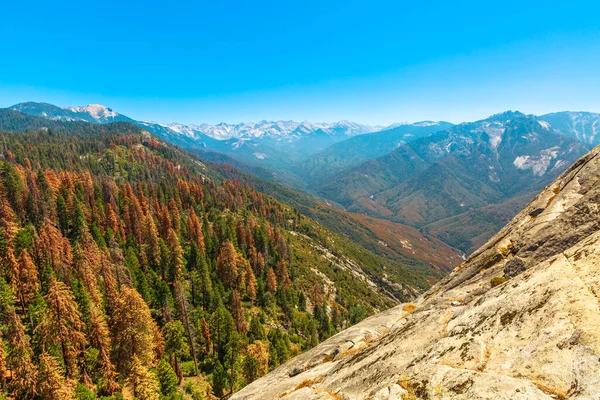 Sequoia Moro Rock trail — Stockfoto