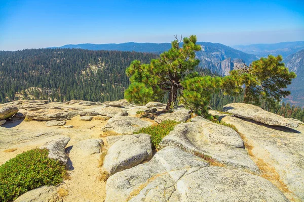 Vista Sentinel Dome — Foto Stock