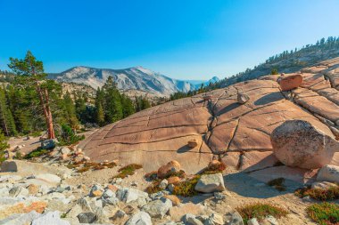 Olmsted Point kayaları