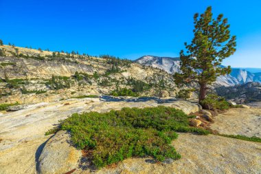 Olmsted Point 'teki panorama