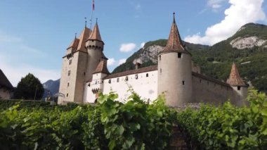 Aigle Kalesi ve Teraslı üzüm bağları