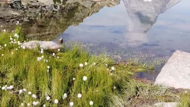 Matterhorn på Riffelsee Lake — Stockvideo