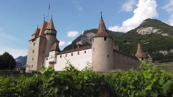 Aigle Castle och terrasserade vingårdar — Stockvideo