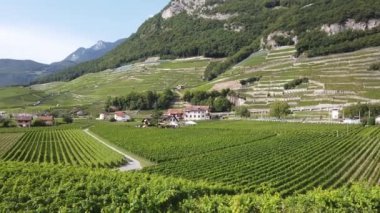 Aigle Kalesi ve Teraslı üzüm bağları