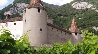 Aigle Kalesi üzüm bağları