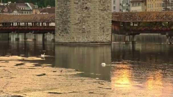 Paesaggio urbano di Lucerna al tramonto — Video Stock