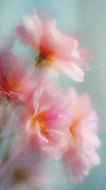 Soyut çiçek arkaplanı, sarı çiçekler ilkbahar, yaz mevsimi çiçek açan mahsuller