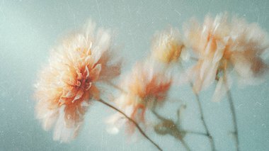 Soyut çiçek arkaplanı, sarı çiçekler ilkbahar, yaz mevsimi çiçek açan mahsuller