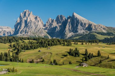 Saslonch, Sassolungo ya da Langkofel dağlarının en yüksek dağı Alpe di Siusi 'den ya da Güney Tyrol, İtalya' daki Dolomitler 'deki Seiser Alm' den