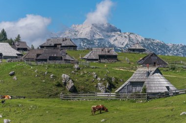 Shepherd's village in Velika Planina, Slovenia clipart