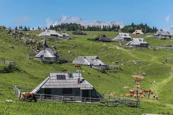 Χωριό Shepherd Στην Velika Planina Σλοβενία — Φωτογραφία Αρχείου