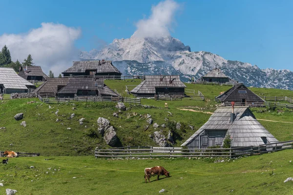 Χωριό Shepherd Στην Velika Planina Σλοβενία — Φωτογραφία Αρχείου