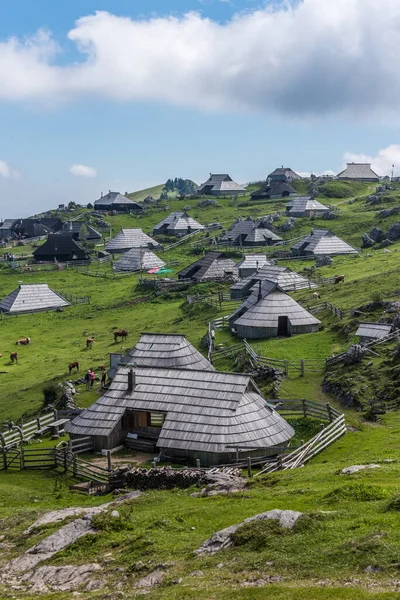 Village Berger Velika Planina Slovénie — Photo