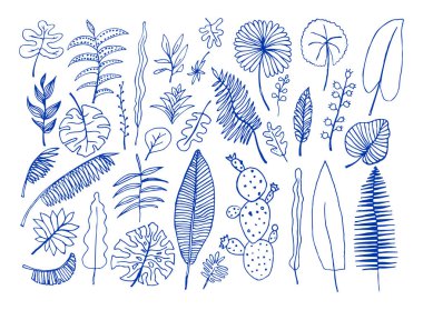 Parlak tropik bitkiler çizilmiş vektör kümesi