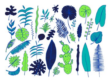 Parlak tropik bitkiler çizilmiş vektör kümesi