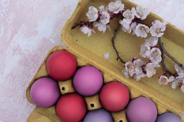 Carton d'œufs de Pâques colorés Photo De Stock